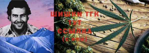 стафф Карпинск
