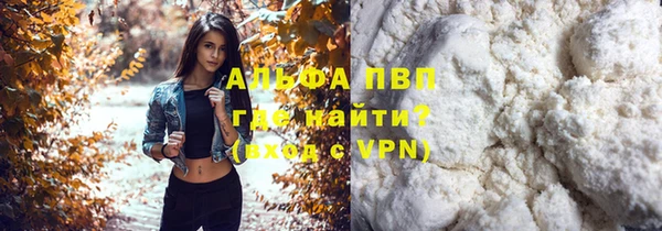 стафф Карпинск