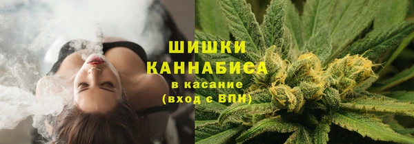 ALPHA PVP Касимов