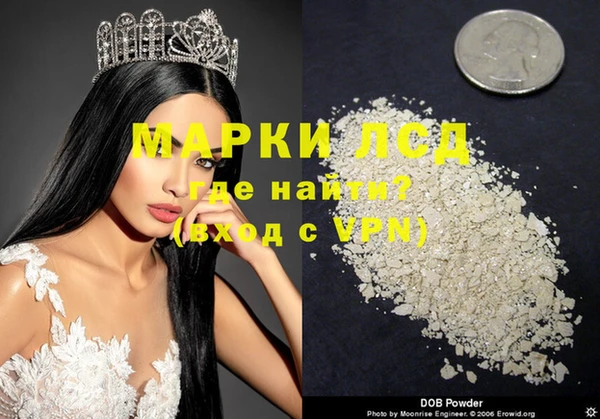 стафф Карпинск