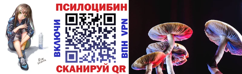 Купить  Рыльск  Галлюциногенные грибы мицелий 